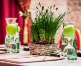 [Najdlhšie fungujúci ECO hotel na Slovensku]